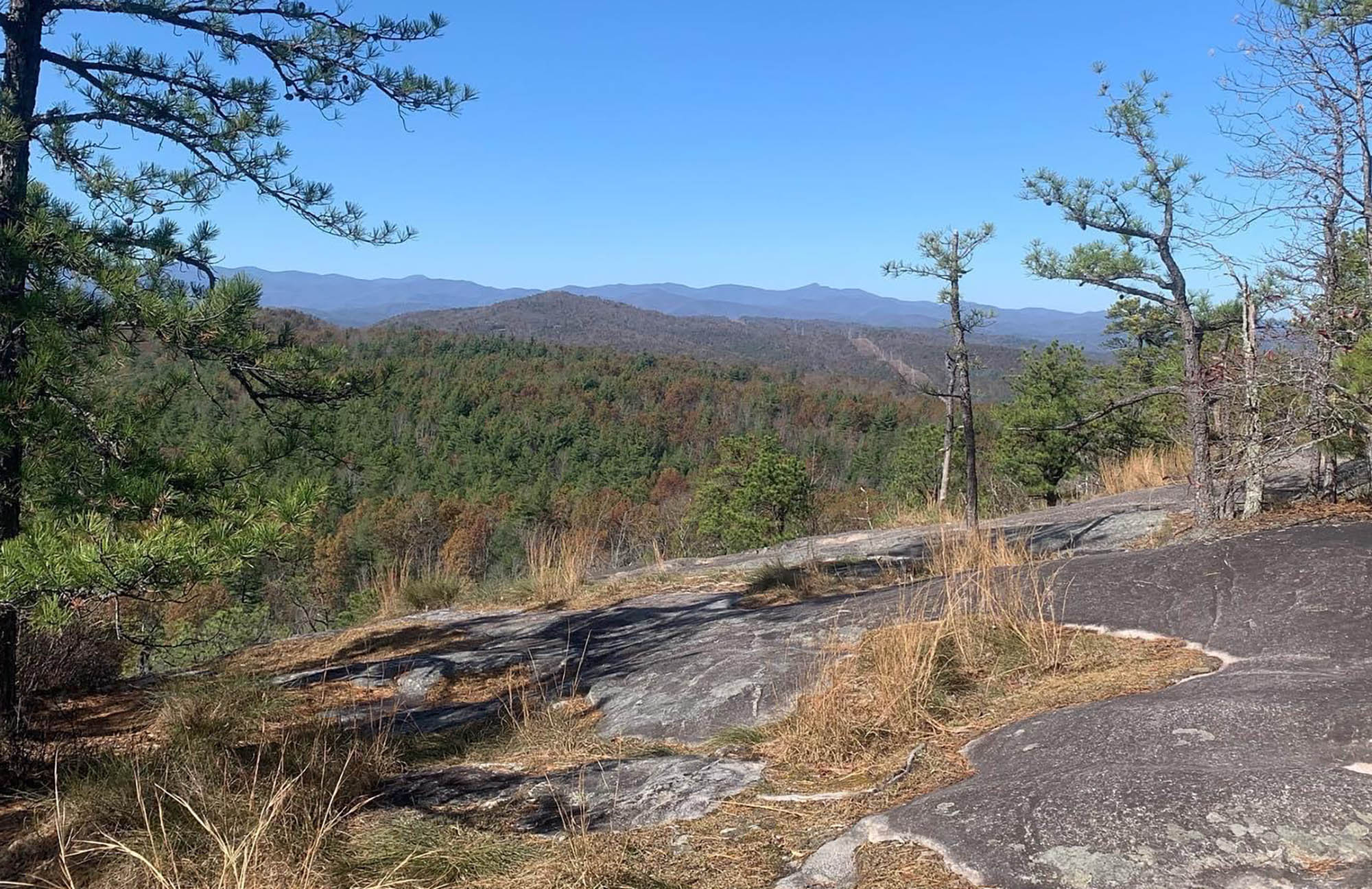 Big Rock & Cedar Rock Trail - Friends of Dupont Forest