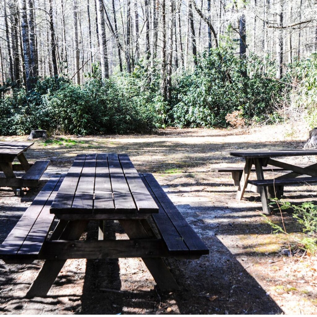 DuPont History Where was the RV Campground in Buck Forest? Friends