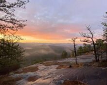 Sunset view in the forest